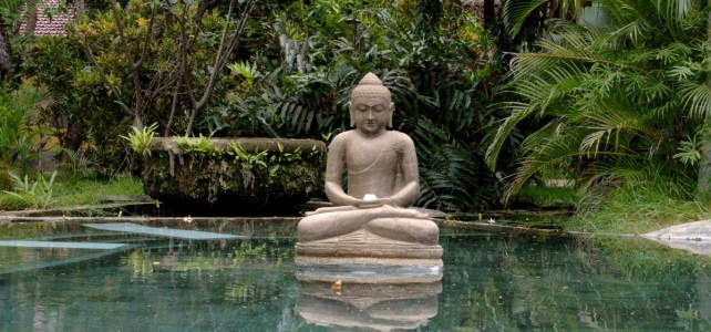 buddha