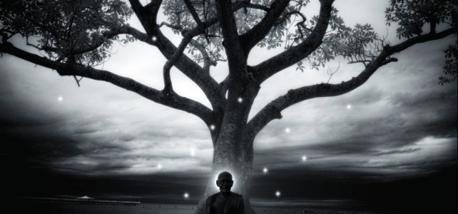 in-meditation-nature-tree